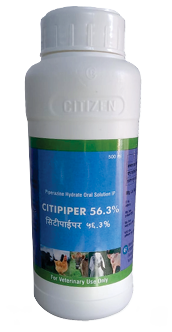 CITIPIPER 56.3%