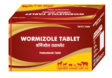 WORMIZOLE TABLET
