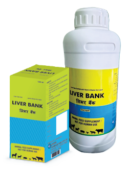 LIVER BANK